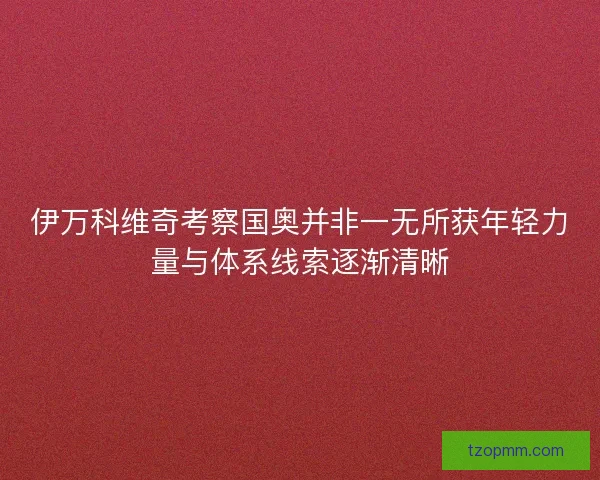 伊万科维奇考察国奥并非一无所获年轻力量与体系线索逐渐清晰