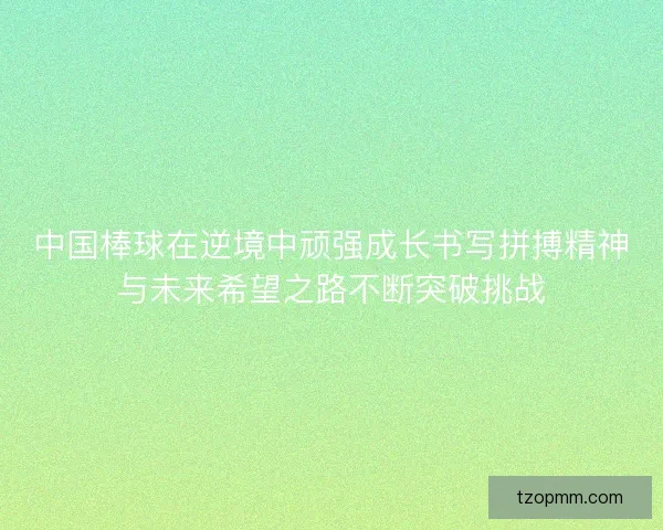 中国棒球在逆境中顽强成长书写拼搏精神与未来希望之路不断突破挑战